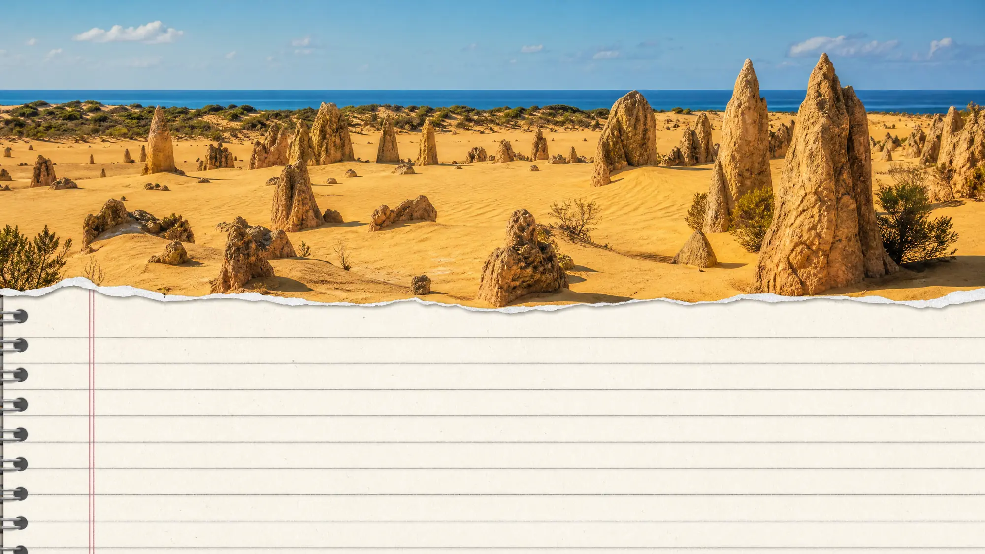 Migliaia di pilastri calcarei emergono dalle dune di sabbia gialla. Pianifica il tuo viaggio in auto o prenota un tour di osservazione delle stelle al tramonto da Perth.